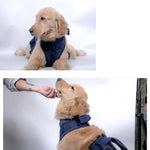 ペットリード 高齢犬用歩行補助 胸当てハーネス XS, S, M, L, XL