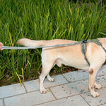 犬用アウトドア もつれ防止牽引ロープ ナイロン反射伸縮 犬用散歩ロープ 伸縮イエロー, 伸縮グリーン