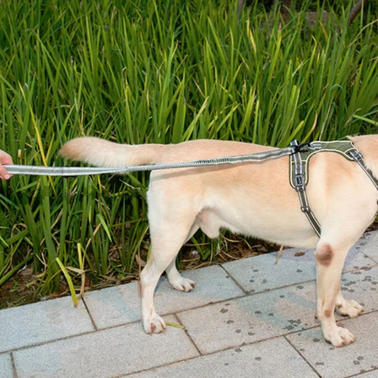 犬用アウトドア もつれ防止牽引ロープ ナイロン反射伸縮 犬用散歩ロープ 伸縮イエロー, 伸縮グリーン