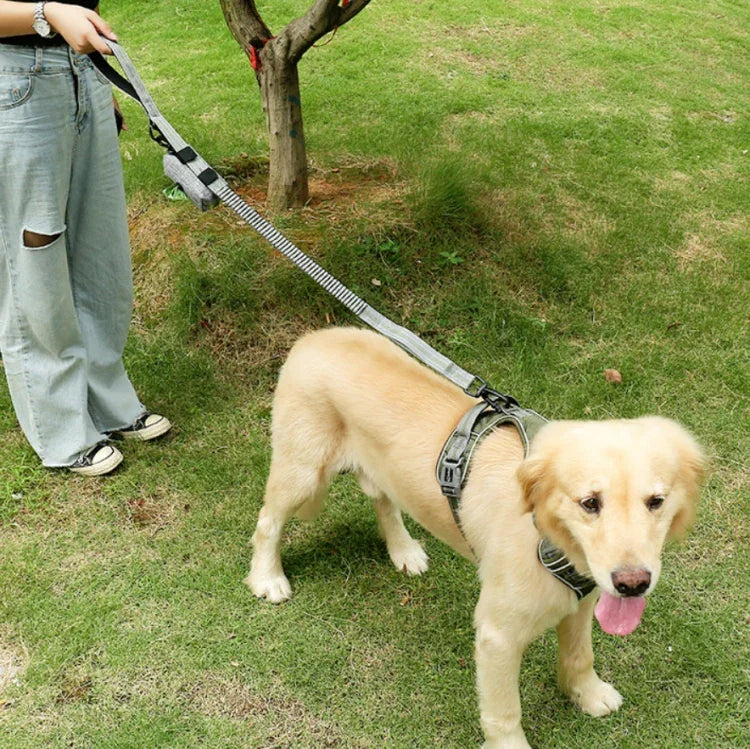 犬用アウトドア もつれ防止牽引ロープ ナイロン反射伸縮 犬用散歩ロープ 伸縮イエロー, 伸縮グリーン