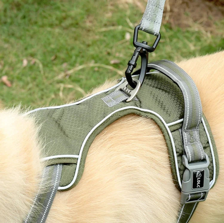 犬用アウトドア もつれ防止牽引ロープ ナイロン反射伸縮 犬用散歩ロープ 伸縮イエロー, 伸縮グリーン