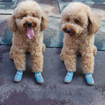 4個セット 通気性滑り止め耐摩耗犬用シューズ ペット用品、2.8x3.5cm、3.3x4cm、3.8x4.3cm、4.3x4.8cm、4.8x5.3cm