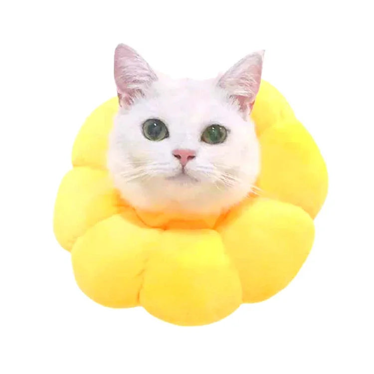 ペット用品猫用ヘッドギア猫用おもちゃ噛み防止リング保護カバー、XS、S、L