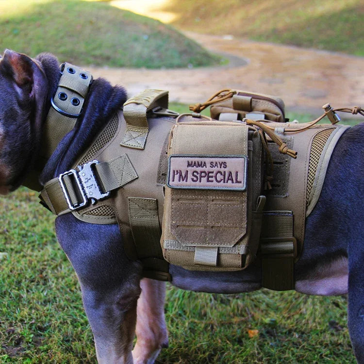 トレーニング用犬用ベスト 屋外装備 ペット服, M, L