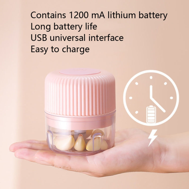 家庭用野菜カッター 電動USBガーリックマッシャー ベビーミニ調理機 ベビーフード補助機 250ml、100ml＋250ml、100ml