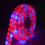 5m 300 LEDs SMD 5050 フルスペクトルLEDストリップライト フィトランプ 温室用水耕植物育成ライト、防水