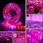 5m 300 LEDs SMD 5050 フルスペクトルLEDストリップライト フィトランプ 温室用水耕植物育成ライト、防水
