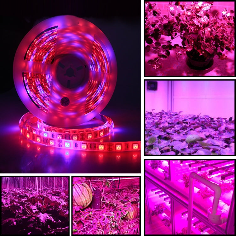 5m 300 LEDs SMD 5050 フルスペクトルLEDストリップライト フィトランプ 温室用水耕植物育成ライト、防水