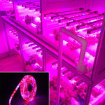 5m 300 LEDs SMD 5050 フルスペクトルLEDストリップライト フィトランプ 温室用水耕植物育成ライト、防水