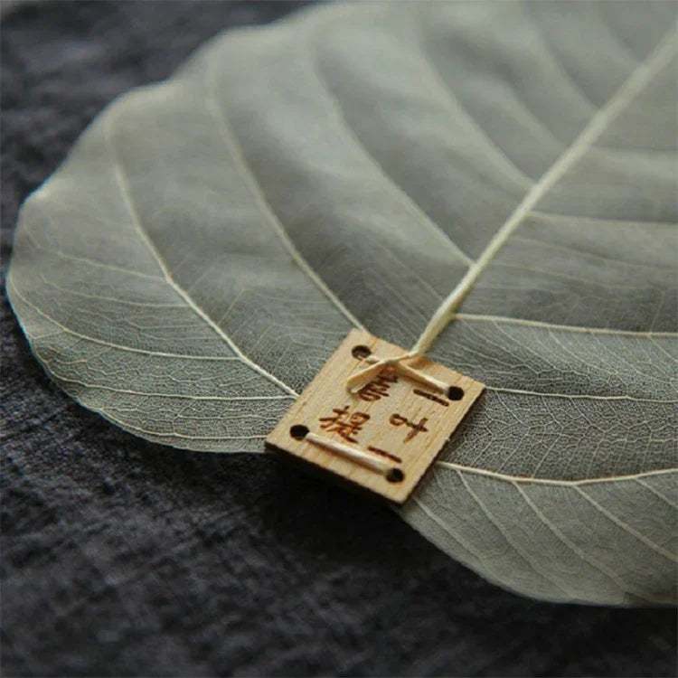 クリエイティブ個性派自然菩提樹の葉フィルター茶こし、菩提樹の葉