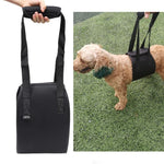 HCPET F1905 障害犬用補助ベルト 高齢犬用歩行補助リード ペット用品 S, M, L