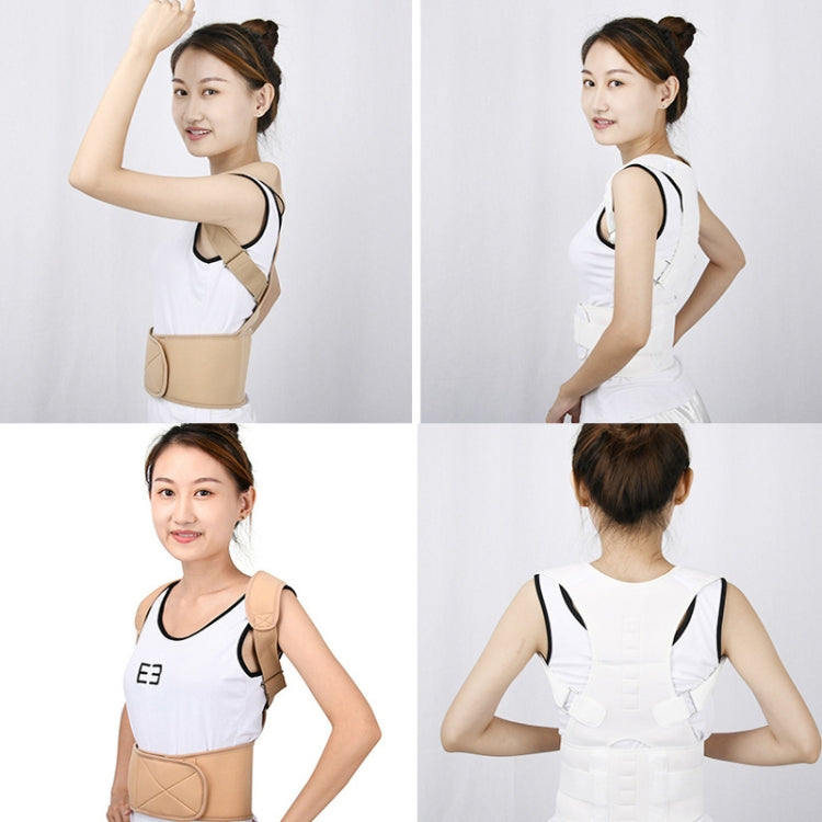 大人用背中姿勢矯正ベルト 猫背矯正ボディ拘束ベルト, S, M, L, XL, XXL