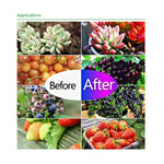 超薄型LED植物ライト、フルスペクトルCOB育成ライト、野菜・果物・花用温室補助ライト プラグなし、50W、100W、150W