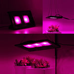 超薄型LED植物ライト、フルスペクトルCOB育成ライト、野菜・果物・花用温室補助ライト プラグなし、50W、100W、150W