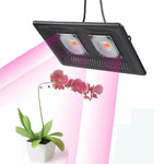 超薄型LED植物ライト、フルスペクトルCOB育成ライト、野菜・果物・花用温室補助ライト プラグなし、50W、100W、150W