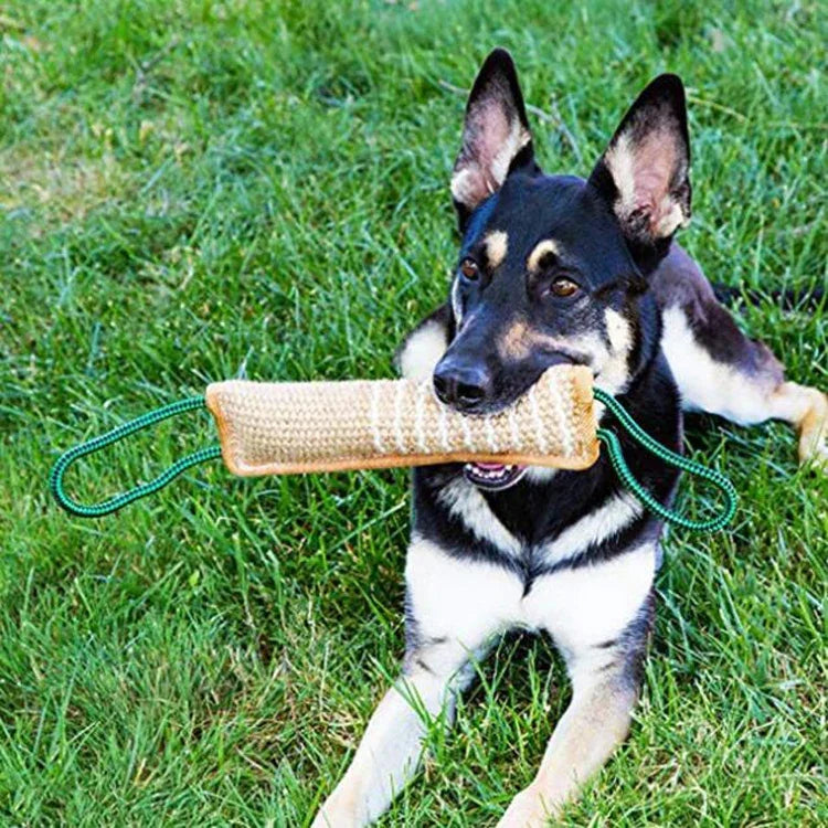 犬トレーニング ヘンプ噛み棒 犬噛み棒 犬トレーニング用品, A1, A2, A3, A4, A5