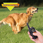 998DC バークストッパーリモートコントロール電気ショックカラー犬トレーニングデバイス、UKプラグ