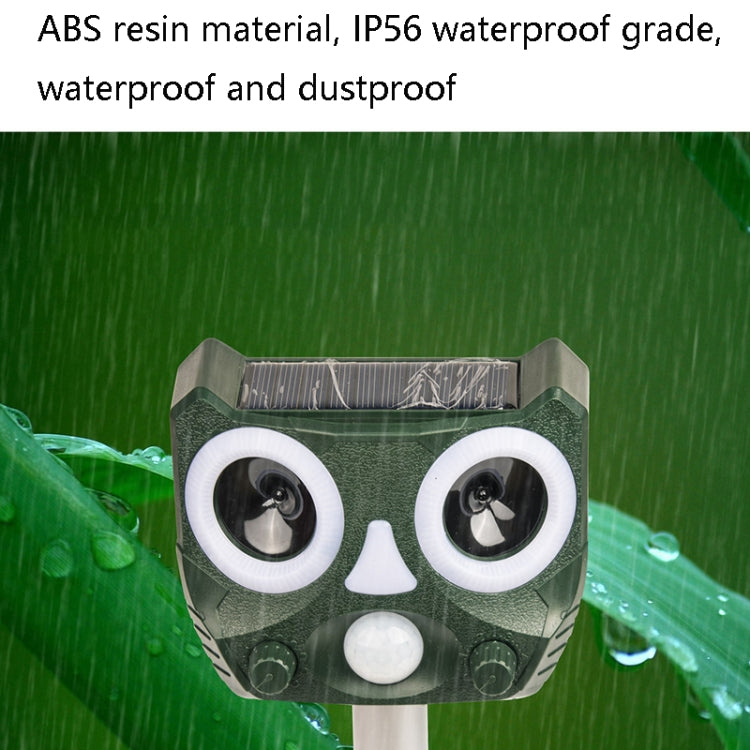 Image alt