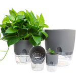 Transparent Plastic Double-Layer Water Storage Automatic Water-Absorbing Flowerpot, A703 Caliber 8.2cm, A705 Caliber 10.5cm, A707 Caliber 15.3cm, A709 Caliber 23.5cm
