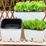 家庭用バルコニー長方形プラスチック自己吸水野菜栽培鉢、スタイル：SC01特大鉢、SC02大鉢