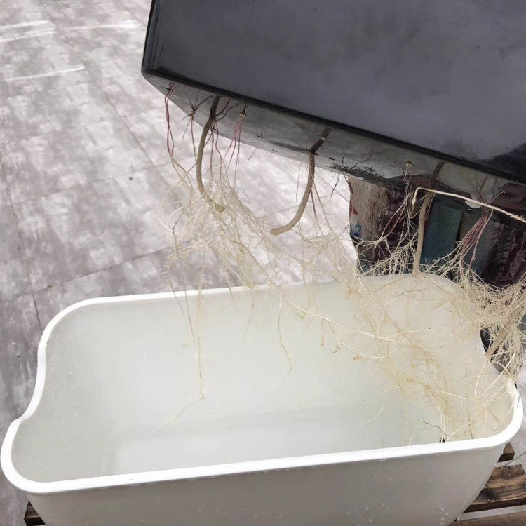 家庭用バルコニー長方形プラスチック自己吸水野菜栽培鉢、スタイル：SC01特大鉢、SC02大鉢