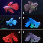 ナイトライトシミュレーション魚タンク装飾環境に優しいシリコーンカラフルな魚、1赤ベタ、2茶ベタ、3青ベタ、4青金魚、5赤金魚、6茶金魚