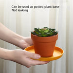5pcs Home 6 Inch Small Dish Plastic Snack Cake Dish Dining Table Garbage Tray