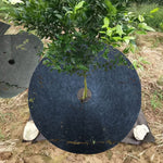 エコロジカル防草不織布園芸用床カバー布通気性保湿果樹園フィルム軽減可能、25×3cm