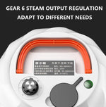スチームクリーナー 高温殺菌清掃機 1L水タンク付き 220V EUプラグ、220V UKプラグ、110V USプラグ、220V AUプラグ、220V USプラグ