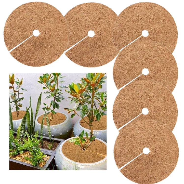 6個セット植物根凍結防止鉢椰子平マット、サイズ：20cm、30cm