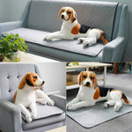 OBL0014 洗える犬用尿パッド, サイズ:, S (グレー), M (グレー), L (グレー), S (グリーン), M (グリーン), L (グリーン), S (ボーン柄), M (ボーン柄), L (ボーン柄), S (ブラウン), M (ブラウン), L (ブラウン), S (ダークグレー), M (ダークグレー), L (ダークグレー)