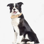 JINMAOHOU 犬用二重レザー首輪 XS 34x1.7cm、S 39x2.2cm、M 49x2.7cm、L 59x3.2cm