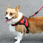 K9 犬用調節可能チェストストラップ、サイズ：XS、S、M
