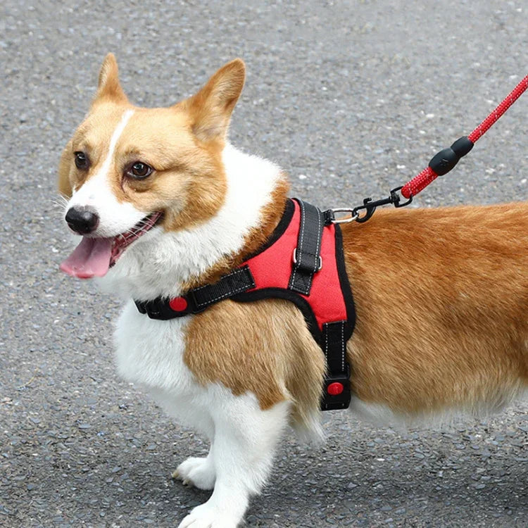 K9 犬用調節可能チェストストラップ、サイズ：、L、XL