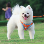 BL-867 ペット用チェストストラップ 反射犬用トラクションロープ、サイズ：、S、M、L、XL