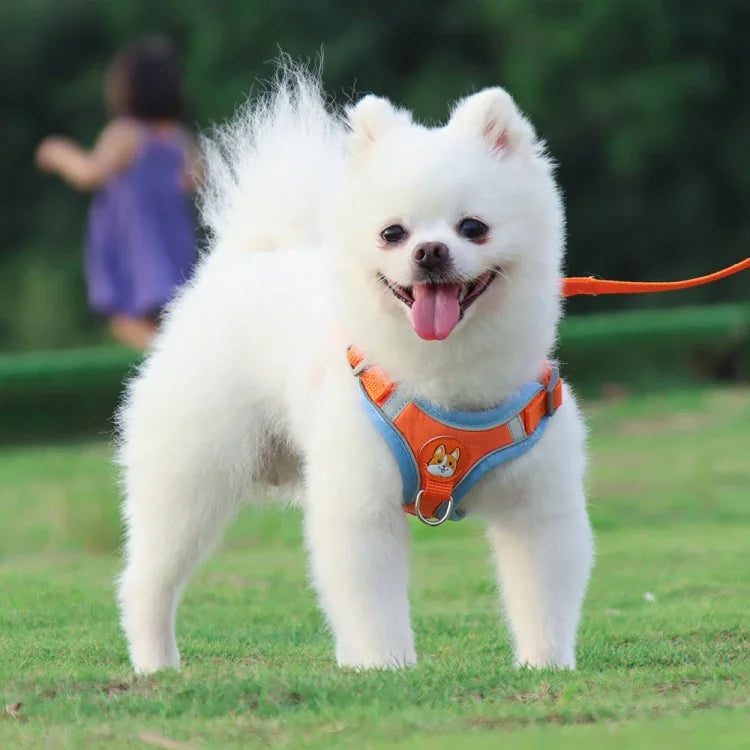 BL-867 ペット用チェストストラップ 反射犬用トラクションロープ、サイズ：、S、M、L、XL