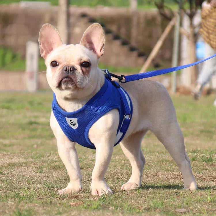 BL-844 ペット用チェストストラップ 反射通気性犬用ロープ、サイズ：、XS、S、M、L、XL