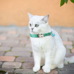 2個セット 夜間反射ナイロン猫首輪 ベル付き 彫刻なし グリーン、スカイブルー、パープル、グラスグリーン、ブラック、ローズレッド