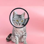 ペット保護用ヘッドギア 猫と犬用 噛みつき防止カラー 美容・手術後用 サイズ: No.7/8cm, No.7, No.6, No.5, No.4, No.3