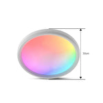 WiFi Bluetooth 2.4G リモコンLED天井灯、電圧：、EU標準 220V-240V、米国標準 110V-130V