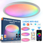 WiFi Bluetooth 2.4G リモコンLED天井灯、電圧：、EU標準 220V-240V、米国標準 110V-130V