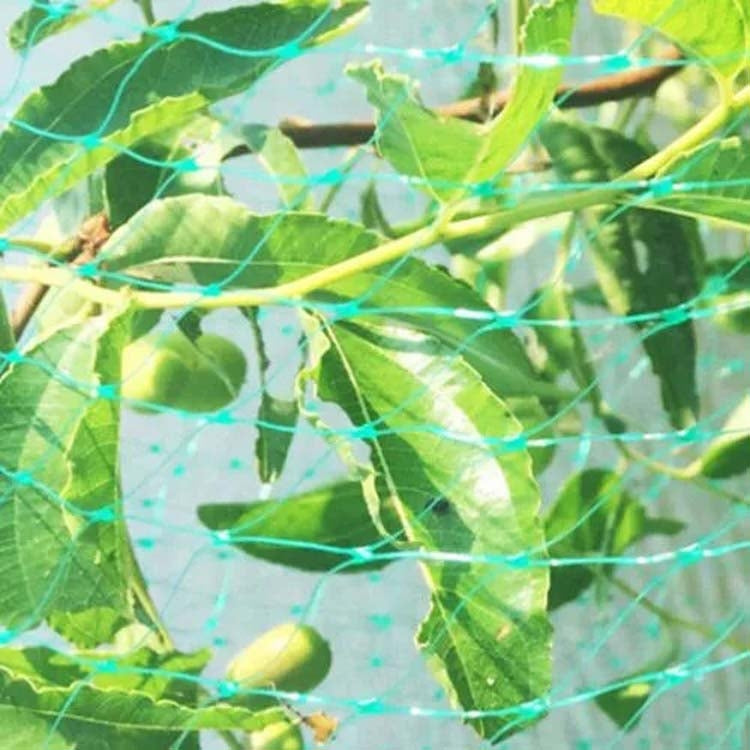 鳥よけ防護ネットメッシュ園芸植物ネット、植物と果物を保護、2Mx10M、4Mx5M、4Mx10M、4Mx12M、5Mx10M、5Mx20M、4Mx15M