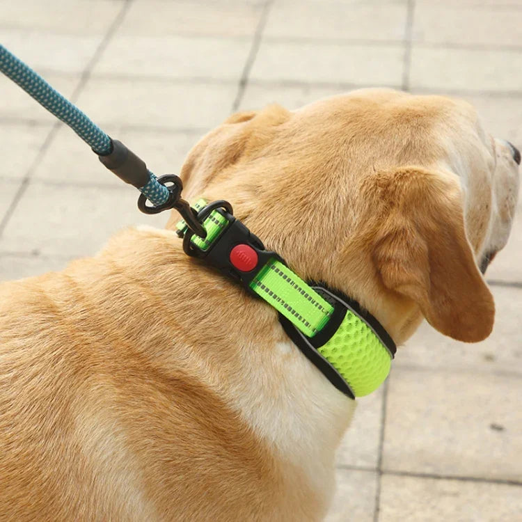 ハニカムネット犬用首輪 通気性反射 もつれ防止首輪 XS, S, M, L, XL