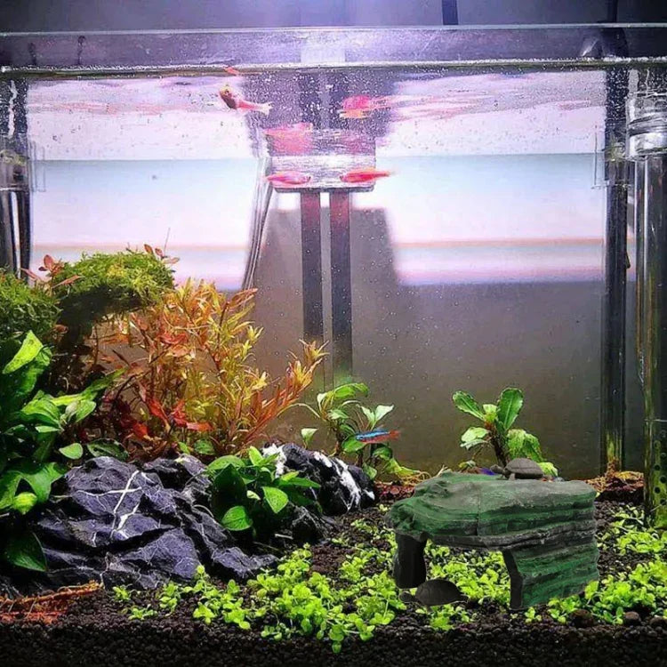 نص بديل للصورة