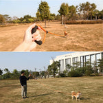 Sh36 ロッククライミングロープ ペットリード 太くて長い犬用トレーニング追跡ロープ 1.5m、2m、5m、10m、3m