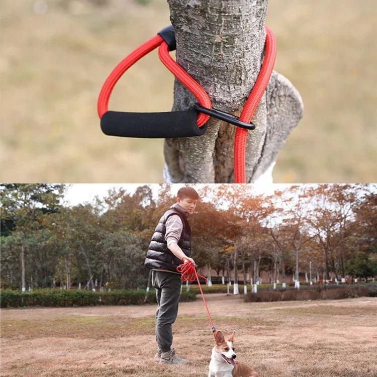 Sh36 ロッククライミングロープ ペットリード 太くて長い犬用トレーニング追跡ロープ 1.5m、2m、5m、10m、3m