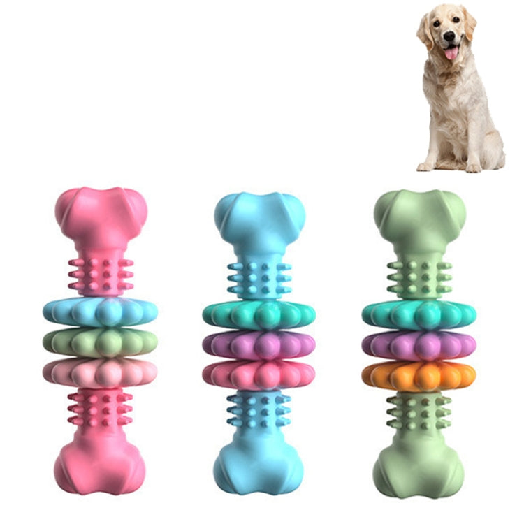 BG5056 TPRペット噛むおもちゃ 骨型犬用歯固めスティック、BG5056（グリーン）、BG5056（ブルー）、BG5056（ピンク）