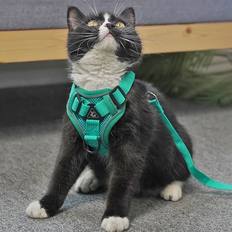 ペットベストハーネス＋牽引ロープセット 反射性通気性犬猫用ハーネス、S、M、L、XL