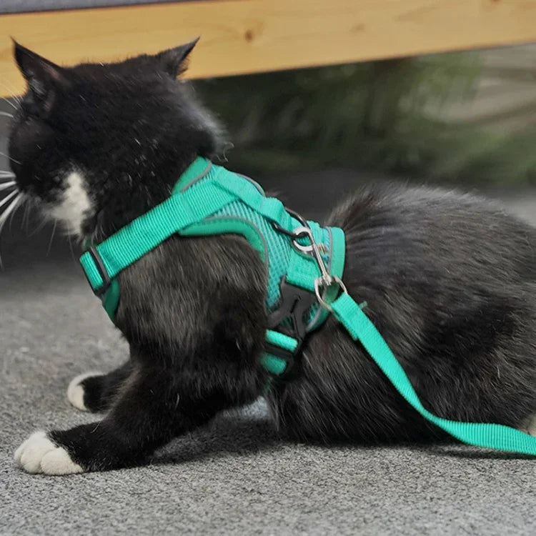 ペットベストハーネス＋牽引ロープセット 反射性通気性犬猫用ハーネス、S、M、L、XL