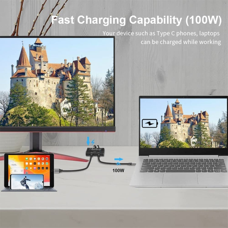 8K30 Type-C / USB-C 双方向スイッチ 10Gbps HDスプリッター KC-C201 C201単体
